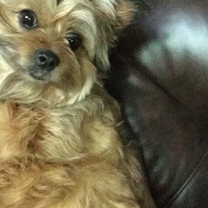 Meet your Posher, Debra